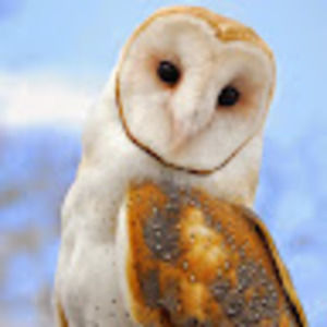 Meet your Posher, Madeleine